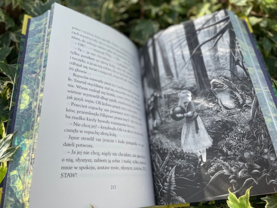 „Zapadły pałac” Marta Kisiel