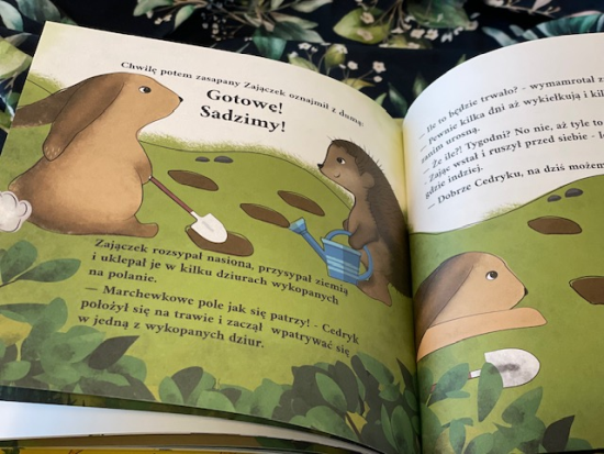 Cedryk i Teodor Anna Borowska