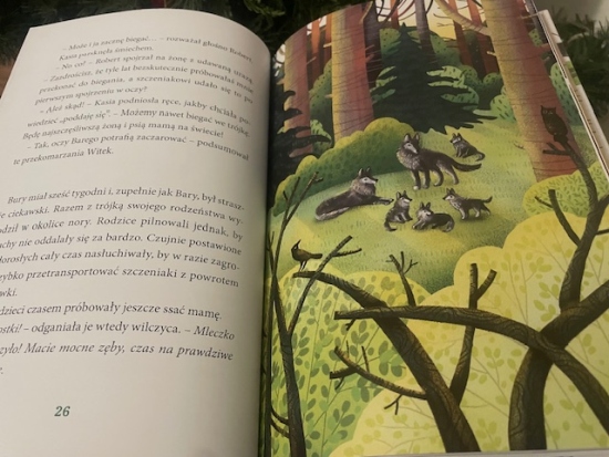 Bury i Bary. Wilk z lasu i pies ze schroniska