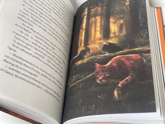 „Ucieczka w dzicz. Wojownicy” tom 1 Erin Hunter