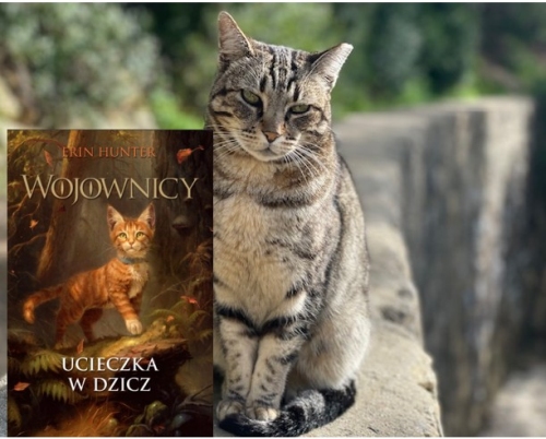 „Ucieczka w dzicz. Wojownicy” tom 1 Erin Hunter