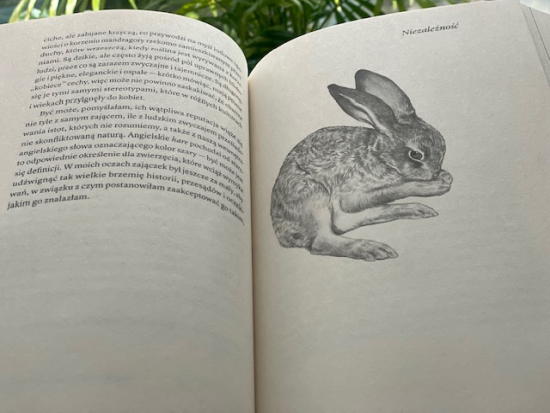 „Jak wychować zająca” Chloe Dalton