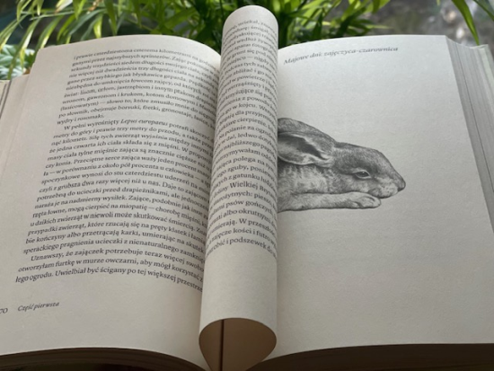 „Jak wychować zająca” Chloe Dalton